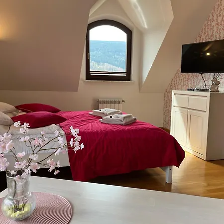 Apartamety I Goscinne Na Jaskolczej Vila