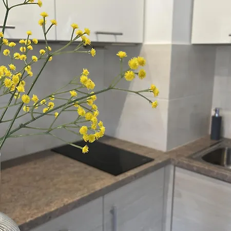 Apartamety I Goscinne Na Jaskolczej Świeradów-Zdrój