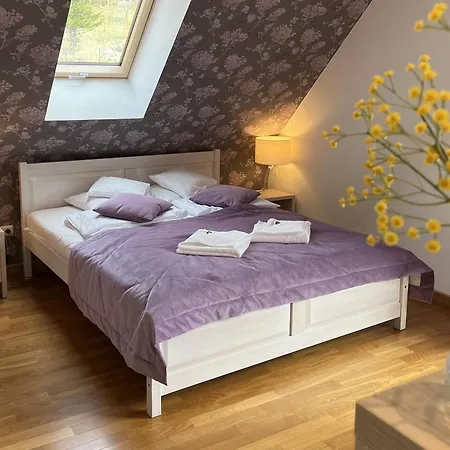 Apartamety I Goscinne Na Jaskolczej *