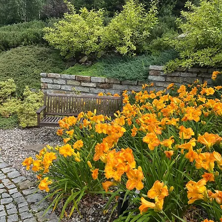 Apartamety I Goscinne Na Jaskolczej * Świeradów-Zdrój