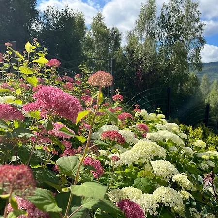 Apartamety I Goscinne Na Jaskolczej Vila