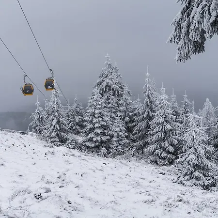 Apartamety I Goscinne Na Jaskolczej Vila *