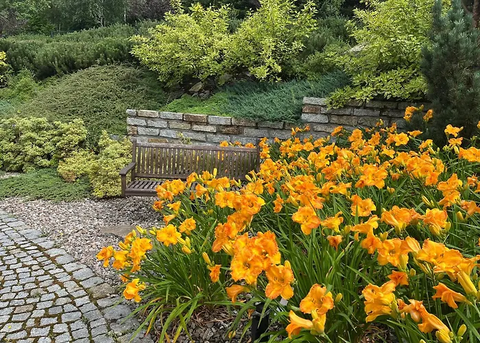 Apartamety I Goscinne Na Jaskolczej * Świeradów-Zdrój