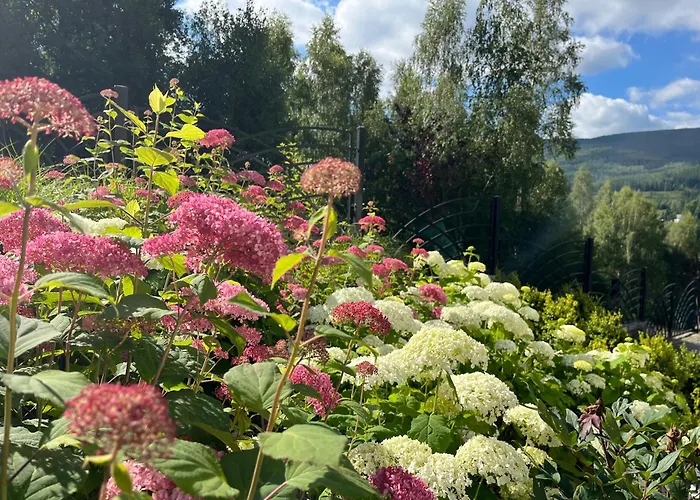 Apartamety I Goscinne Na Jaskolczej Vila